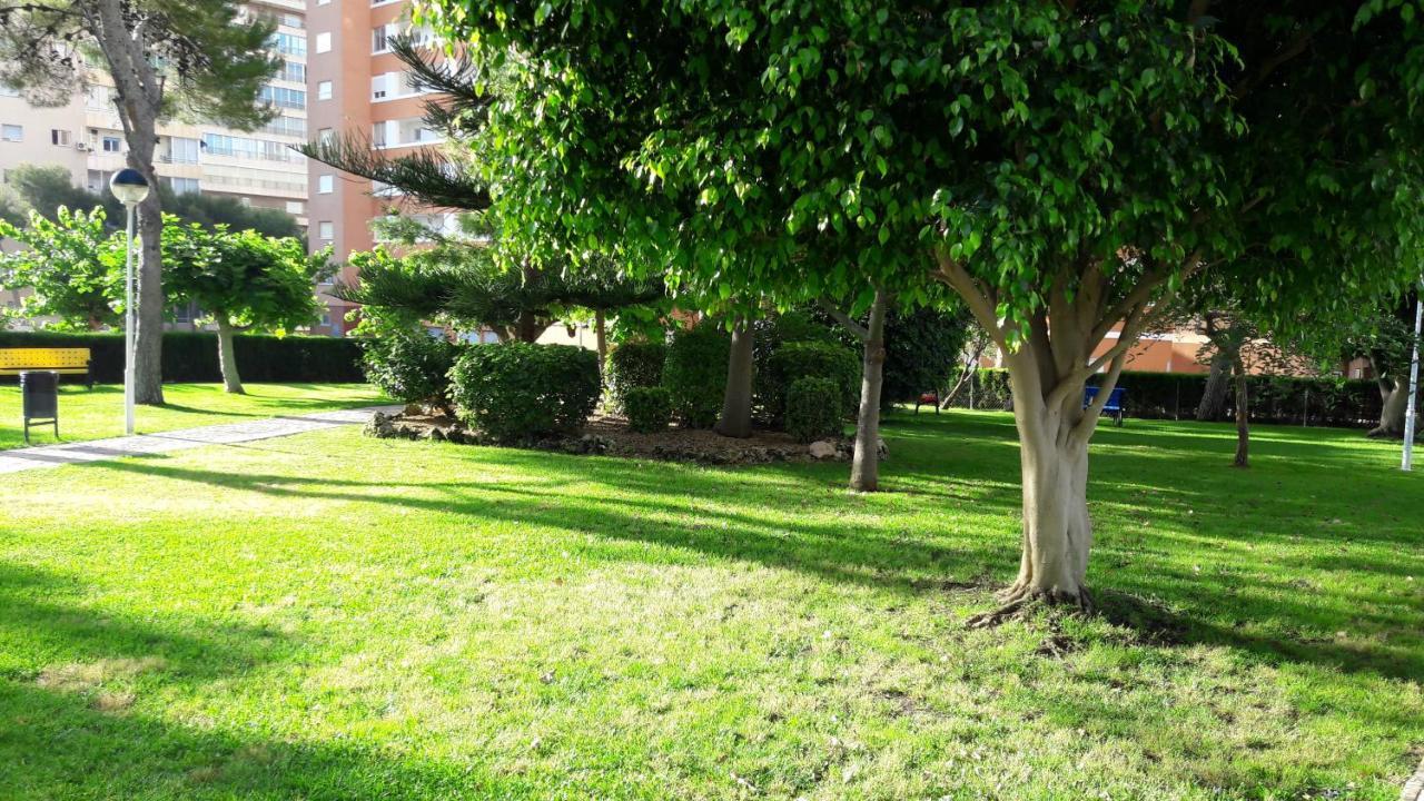Apartamento Edificio Provima B 5 Benidorm Luaran gambar
